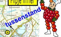 Tussenstand droogrit “Flipje in Tiel”