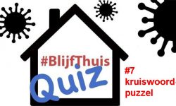 Thuisquiz #7: kruiswoordpuzzel